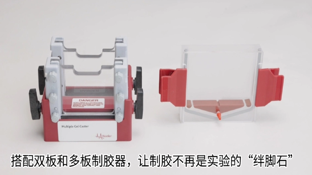 分离胶垂直电泳仪产品