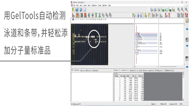 荧光探针成像系统客服电话