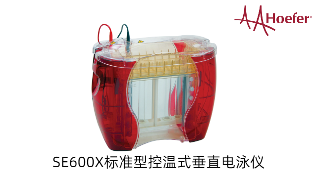 故障排查垂直电泳仪参考价格