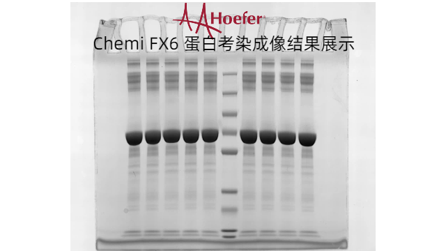 膜再生成像系统生产企业