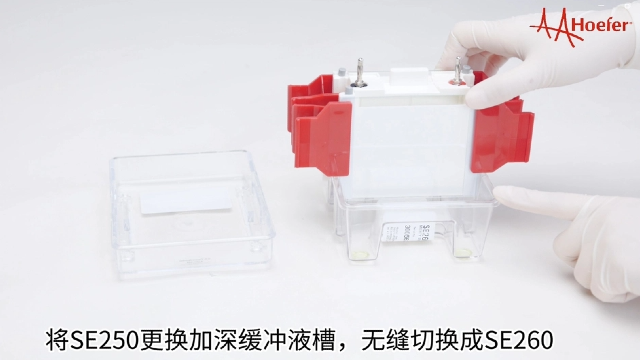 灌胶操作垂直电泳仪价格信息