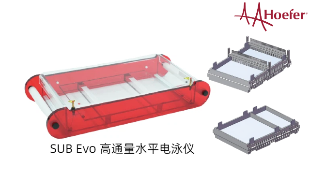 电压梯度水平电泳仪销售厂家