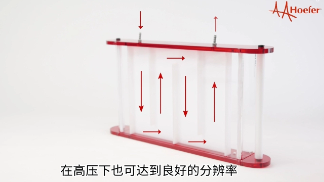 耐高温材质水平电泳仪培训