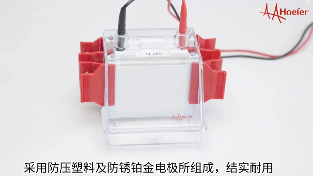 酶活性分析垂直電泳儀大概費(fèi)用 江蘇博美達(dá)生命科學(xué)供應(yīng);
