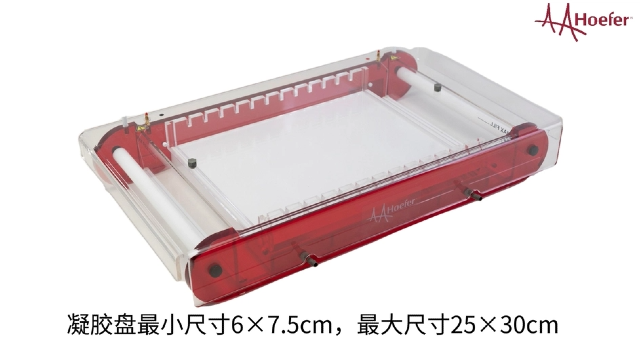 轉(zhuǎn)基因檢測水平電泳儀價格信息 江蘇博美達生命科學供應