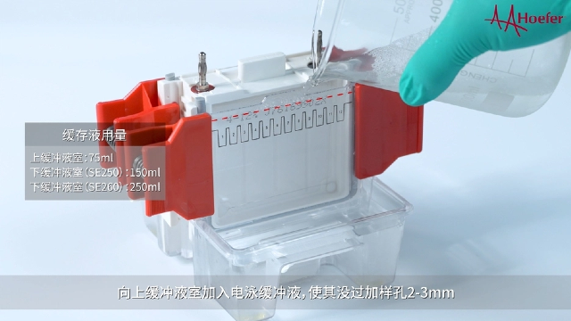 校准验证垂直电泳仪常见问题