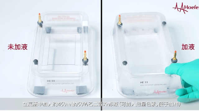 Northernblot水平电泳仪答疑解惑