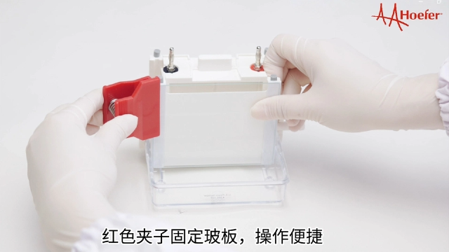 脫色操作垂直電泳儀產(chǎn)品 江蘇博美達生命科學供應