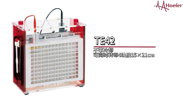 滤纸转印仪招商,转印仪