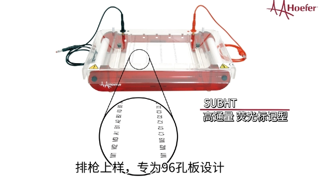 溴化乙锭水平电泳仪销售厂家