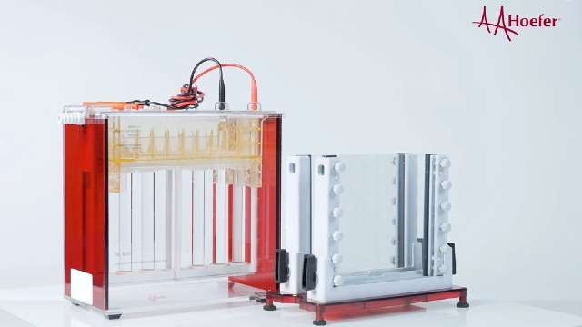 电泳电源垂直电泳仪客服电话