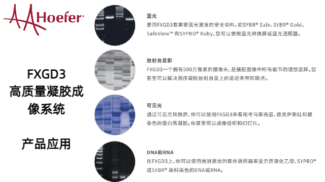 荧光探针成像系统客服电话,成像系统