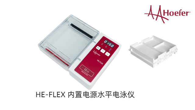 安全互鎖水平電泳儀服務費 江蘇博美達生命科學供應