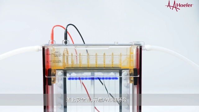 二甲苯青垂直電泳儀使用方法 江蘇博美達(dá)生命科學(xué)供應(yīng)