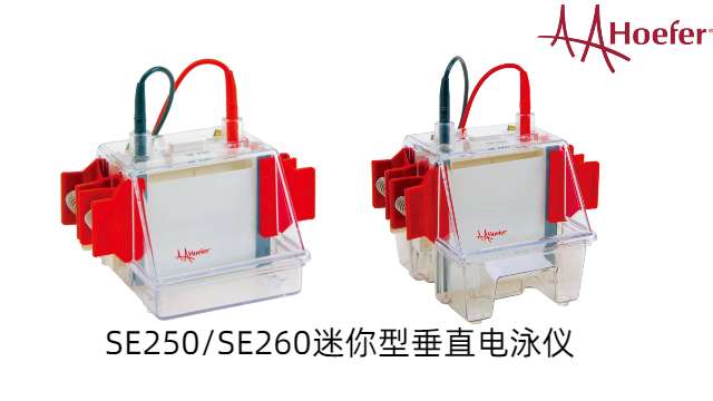 凝膠容量垂直電泳儀大概費(fèi)用 江蘇博美達(dá)生命科學(xué)供應(yīng);