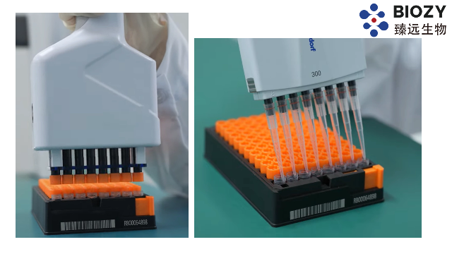 激光蚀刻编码样本冻存管价钱
