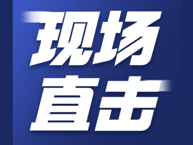 北京外包全域一站式人工智能運(yùn)營(yíng) 服務(wù)至上 赤峰臻島網(wǎng)絡(luò)科技供應(yīng)