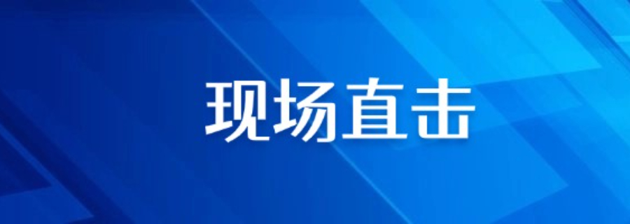 赤峰網絡全域一站式人工智能運營利潤多少 客戶至上 赤峰臻島網絡科技供應