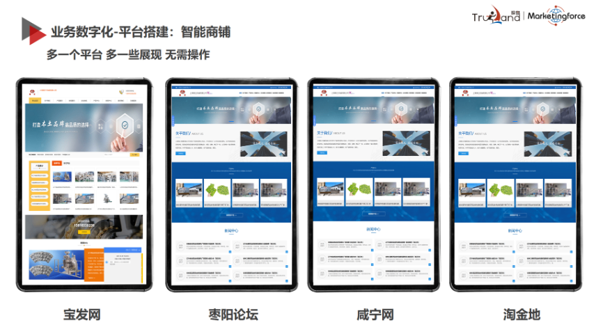 海南本地短視頻運營包括什么 真誠推薦 赤峰臻島網(wǎng)絡(luò)科技供應(yīng)