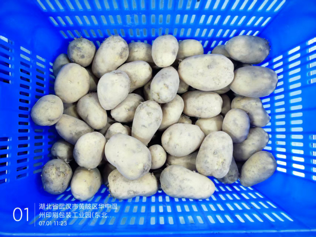 鄂州水果食堂配送客服電話