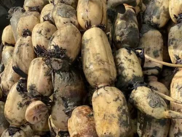 荆门粮油食堂配送服务商,食堂配送