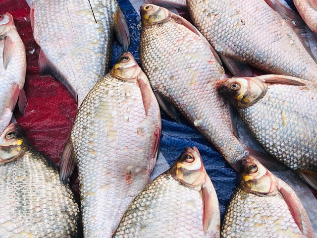 宜昌凍品農(nóng)產(chǎn)品配送客服電話 推薦咨詢 田里甜農(nóng)產(chǎn)品供應(yīng)鏈供應(yīng);