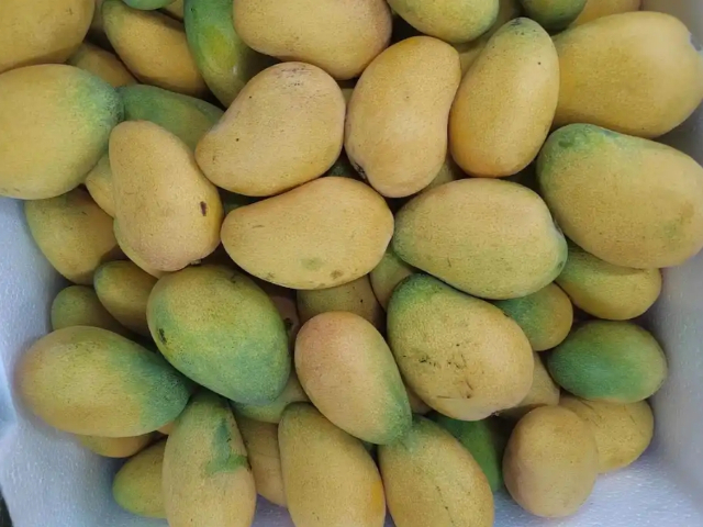 荆州食堂配送联系方式