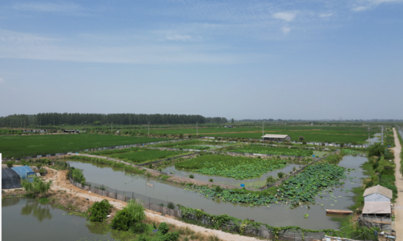 黄石米面农产品配送服务商有哪些,农产品配送