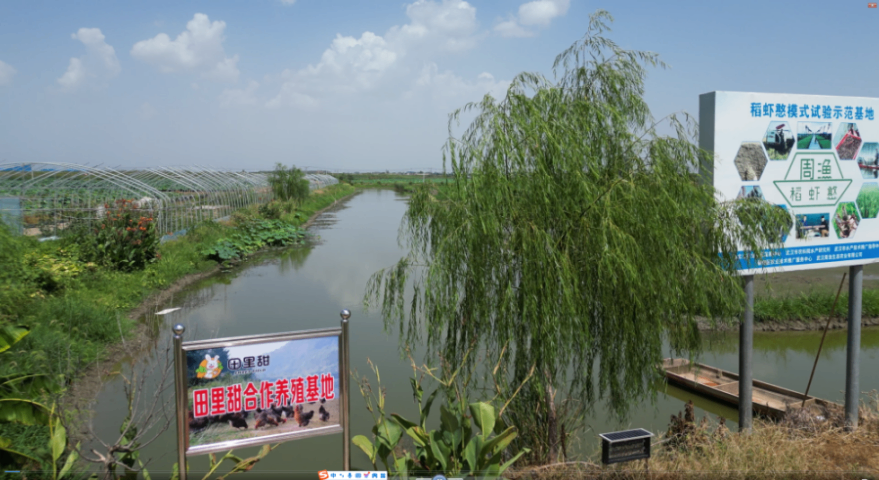仙桃鲜肉农产品配送供应商