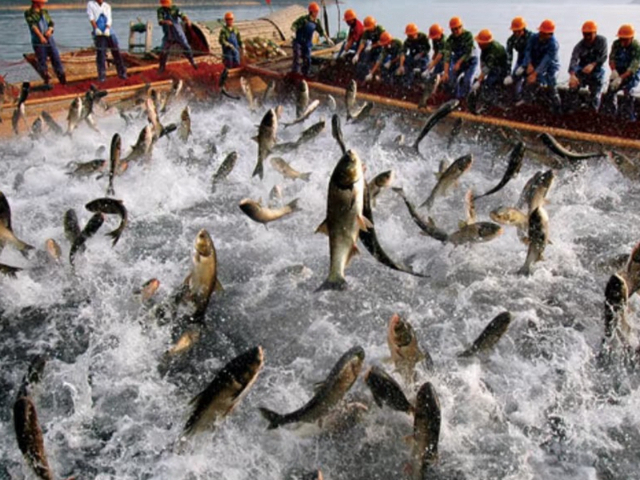 潛江哪里有農(nóng)產(chǎn)品配送平臺(tái) 歡迎來電 田里甜農(nóng)產(chǎn)品供應(yīng)鏈供應(yīng)