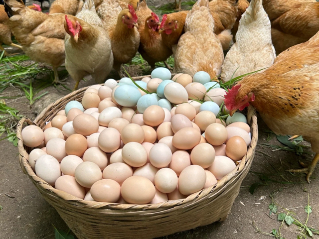 黃石現(xiàn)代化農(nóng)產(chǎn)品配送價(jià)格 歡迎咨詢(xún) 田里甜農(nóng)產(chǎn)品供應(yīng)鏈供應(yīng)