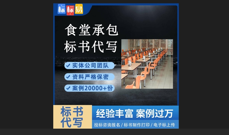 林芝車輛維修車輛租賃電子標書制作編寫,個人代做寫投標書多少錢,電子標書制作編寫