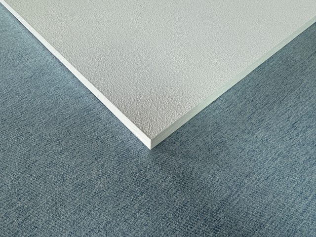 福建地方巖棉吸音天花板 誠信經(jīng)營 深圳市巴克風(fēng)實業(yè)供應(yīng)