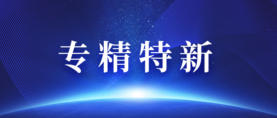 云南新產(chǎn)品專精特新認(rèn)定價(jià)格信息 北京鑫泰洋信息技術(shù)供應(yīng)