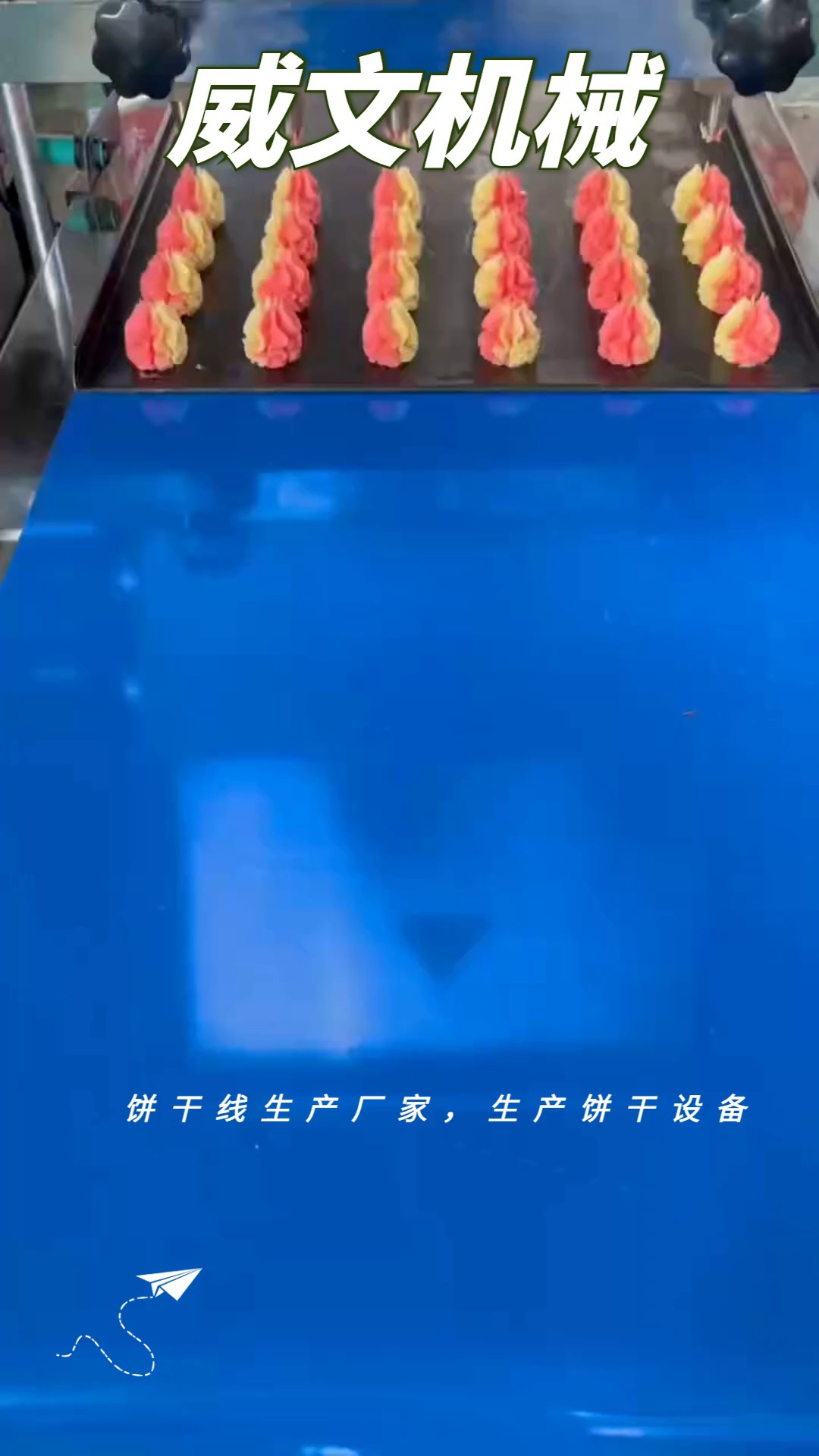 伺服控制曲奇饼干机学校食堂适用,曲奇饼干机