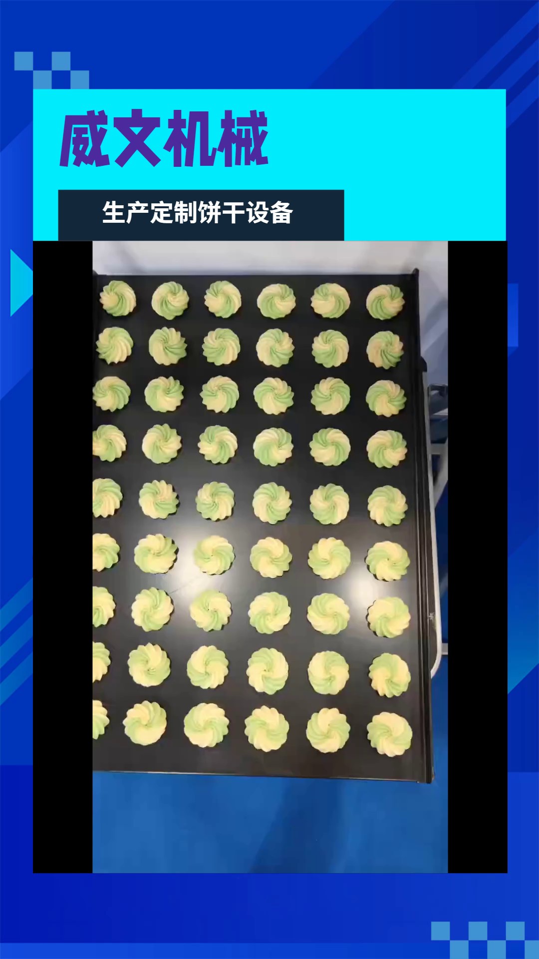 上海高精度曲奇饼干机哪家品牌好,曲奇饼干机