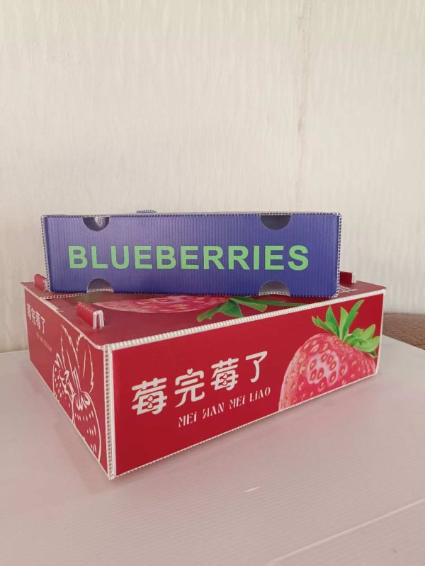 水果彩盒