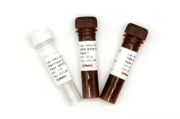 2X SYBR Green Fast qPCR Mix