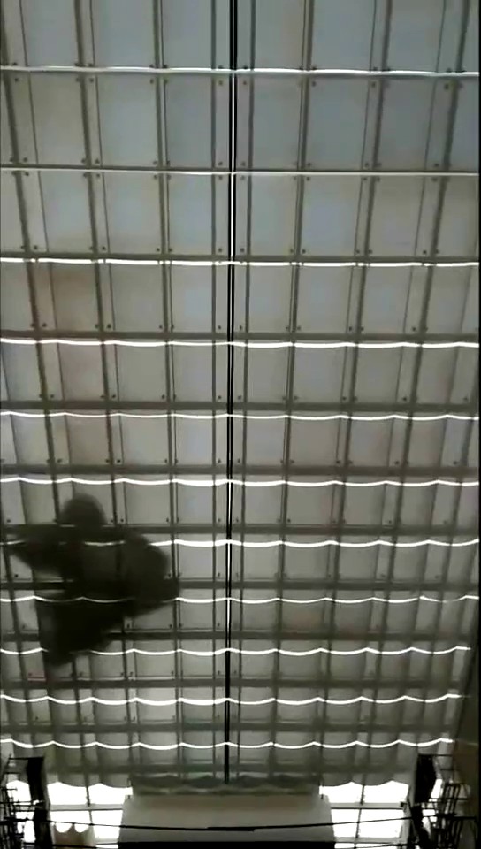電動FCS天棚簾