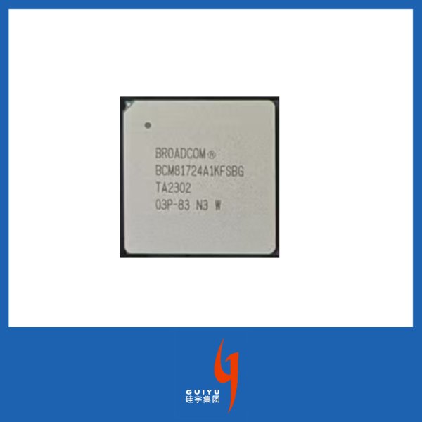 BCM81724A1KFSBG