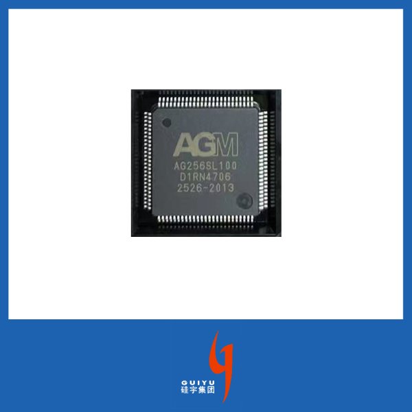 AG256SL100