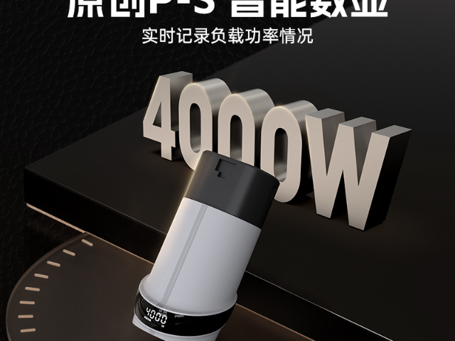 山东常规放电枪有哪些,放电枪