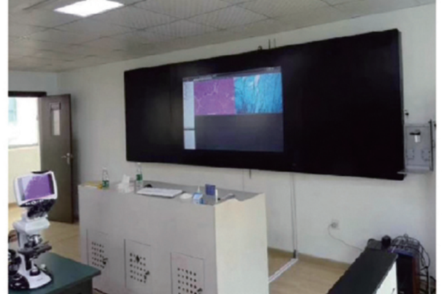 Windows可用一體機控制系統 湖北晶尚視科技供應