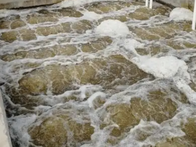 濱湖區(qū)質(zhì)量污水處理治理