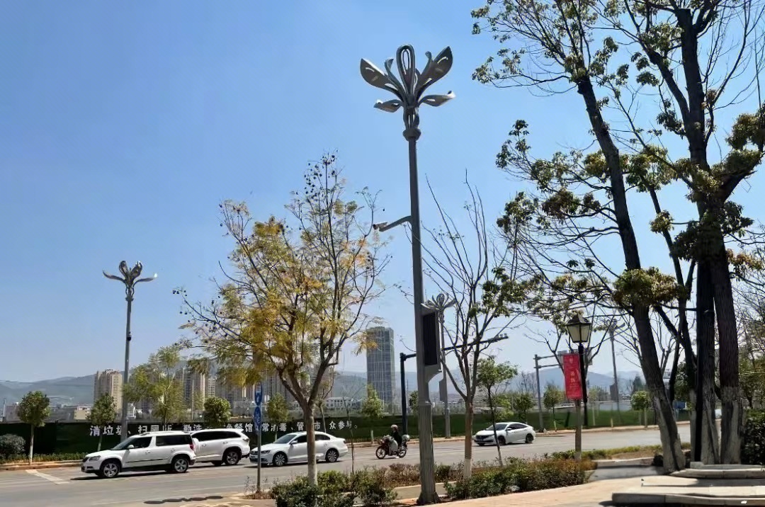 云南富民智慧路燈項目