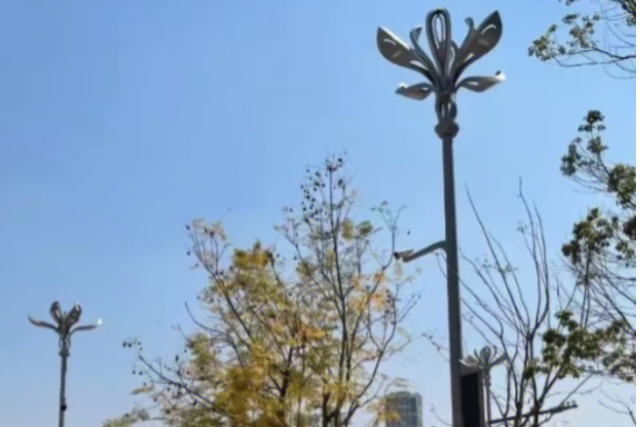 四川智能遙控調(diào)光LED路燈定制廠家 服務(wù)為先 賽諾交科智能交通技術(shù)供應(yīng)