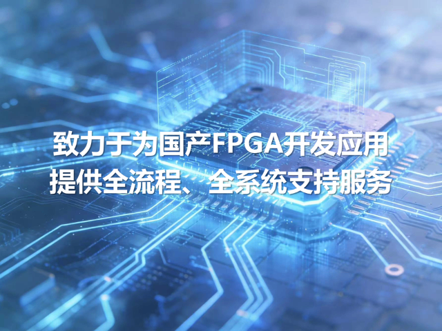 南京國產(chǎn)FPGA開發(fā)工具 歡迎來電 江蘇元信網(wǎng)安科技供應(yīng)