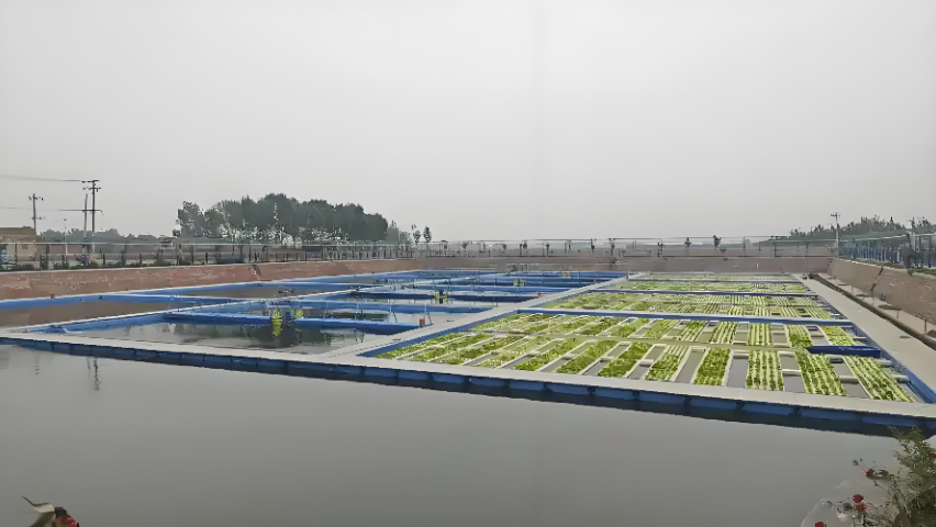 江蘇羥基絮凝劑河湖治理劑哪里買 河南賽科環(huán)保科技供應(yīng)