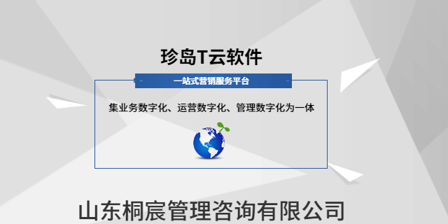 青州山东全域营销推广软件服务电话 客户至上 桐宸管理山东供应