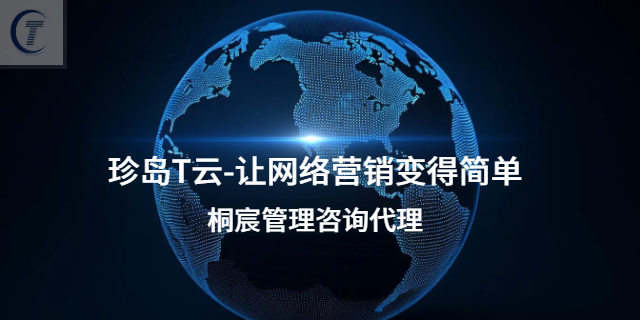 昌乐本地全域营销推广软件优势 客户至上 桐宸管理山东供应